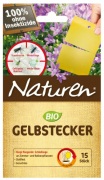 Naturen Gelbstecker (15St.), fängt fliegende...