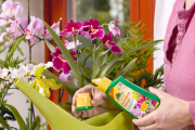 Neudorff® BioTrissol Plus Orchideendünger 100 ml