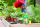 Neudorff BioKraft Vitalkur für Obst & Gemüse 300ml