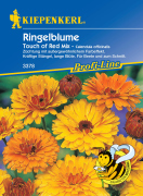 Kiepenkerl Ringelblume Touch of Red Mix 1 Portion