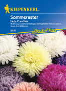 Kiepenkerl Sommeraster Lady Coral Mix 1 Portion