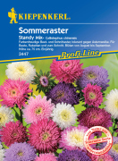 Kiepenkerl Sommeraster Standy Mix 1 Portion