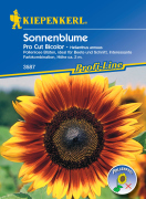 Kiepenkerl Sonnenblume Pro Cut Bicolor 1 Portion