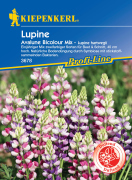Kiepenkerl Lupine Avalune Bicolor Mix 1 Portion