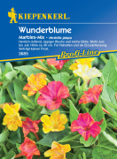 Kiepenkerl Wunderblume Marbles-Mix 1 Portion