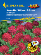 Kiepenkerl Knautie / Witwenblume Red Knight 1 P.