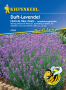 Kiepenkerl Duft-Lavendel Hidcote Blue Strain 1 P.
