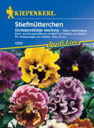 Kiepenkerl Stiefm&uuml;tterchen Orchideenbl&uuml;tige Mix