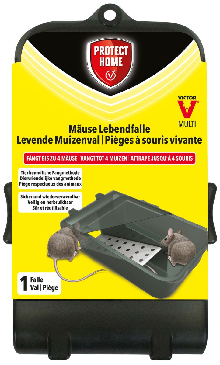 BigDean 4er Set Lebendfalle für Mäuse & kleine Ratten (735741) ab 13,36 €